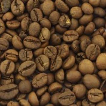 Coffee robusta Coffee robusta